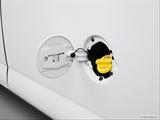  Gas cap open photo